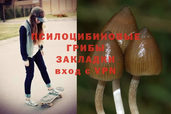 ALPHA PVP Абаза
