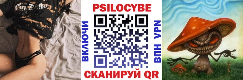 купить наркотики сайты  omg зеркало  Галлюциногенные грибы мицелий  Дубовка 
