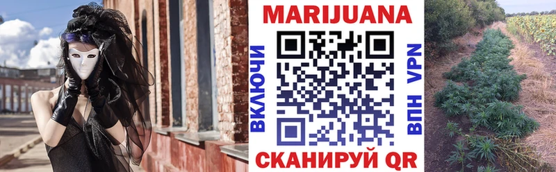 Бошки Шишки планчик  Дубовка 