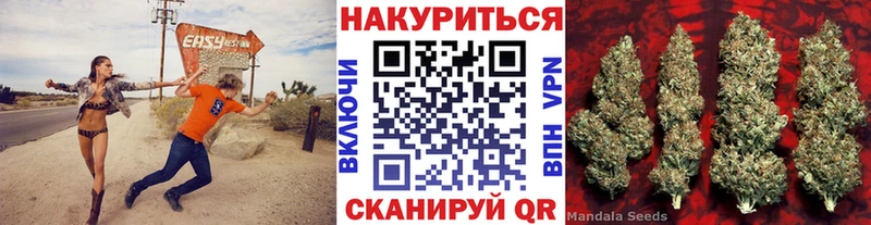 Канабис индика Дубовка